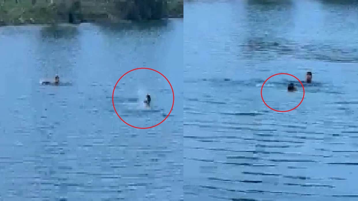 A bet to swim in Raipur's blue waters proved costly: A 24-year-old man drowned in the deep waters