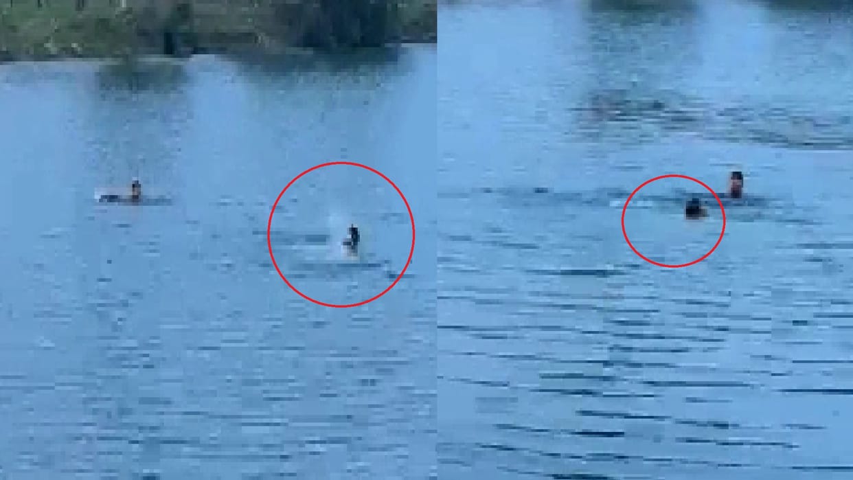 A bet to swim in Raipur's blue waters proved costly: A 24-year-old man drowned in the deep waters