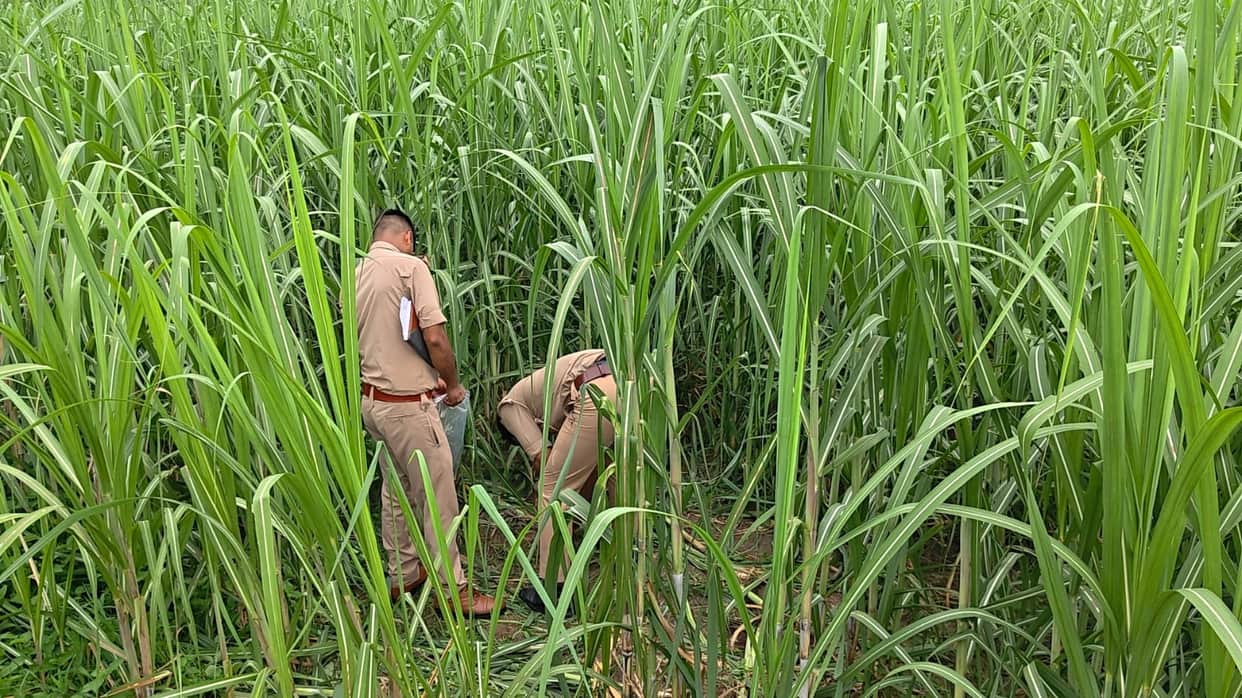 Meerut: Woman’s Body Found in Sugarcane Field, Murder Suspected in Sardhana