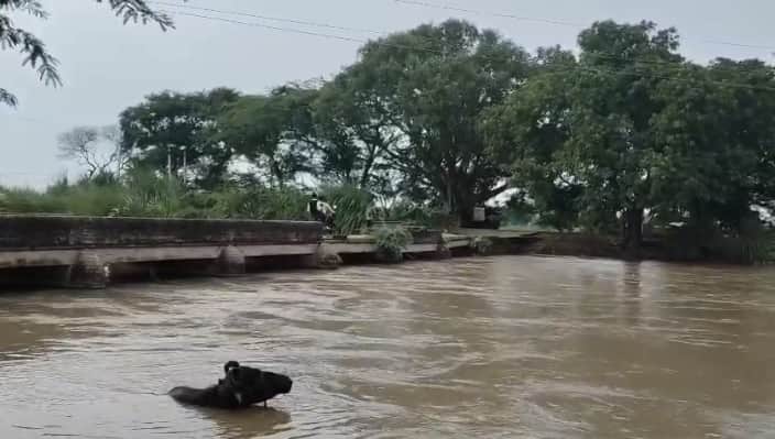 Auraiya shaky structure and path without boundary walls dilapidated bridges are inviting accidents