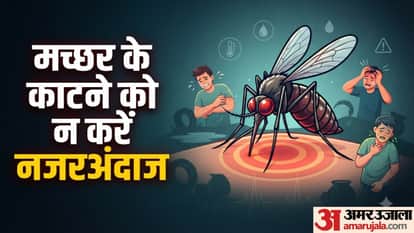 मच्छर के काटने के बाद कब सावधान हों?