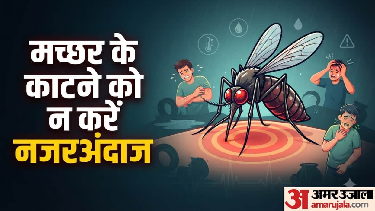 World Mosquito Day 2026 mosquito bite home remedies in hindi