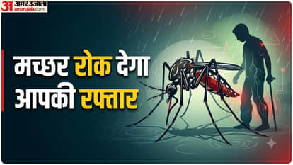 मच्छरों के कारण होने वाली दिक्कतें