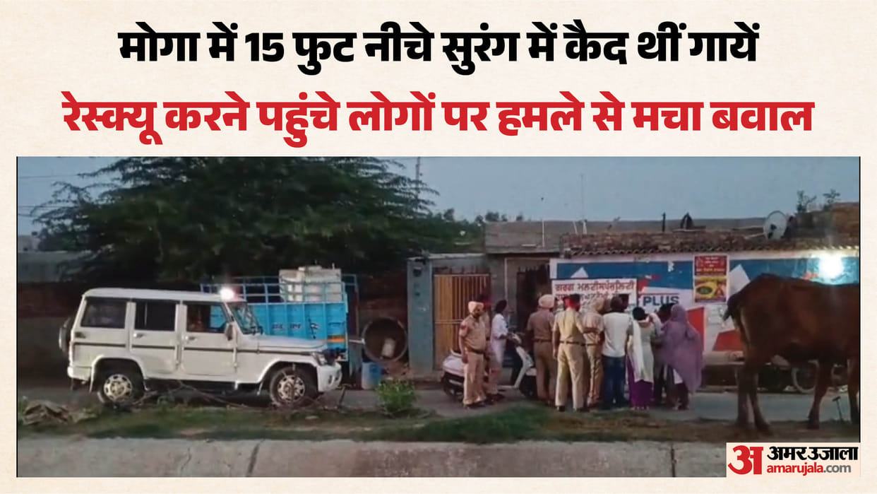 Cows confined in tunnel in Moga Shiv Sena members and Nihang Singhs attacked attempting to rescue them