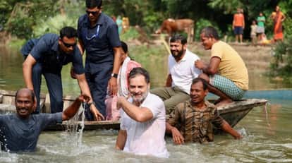 congress party review on bihar election result congress president and rahul gandhi may take action bihar news