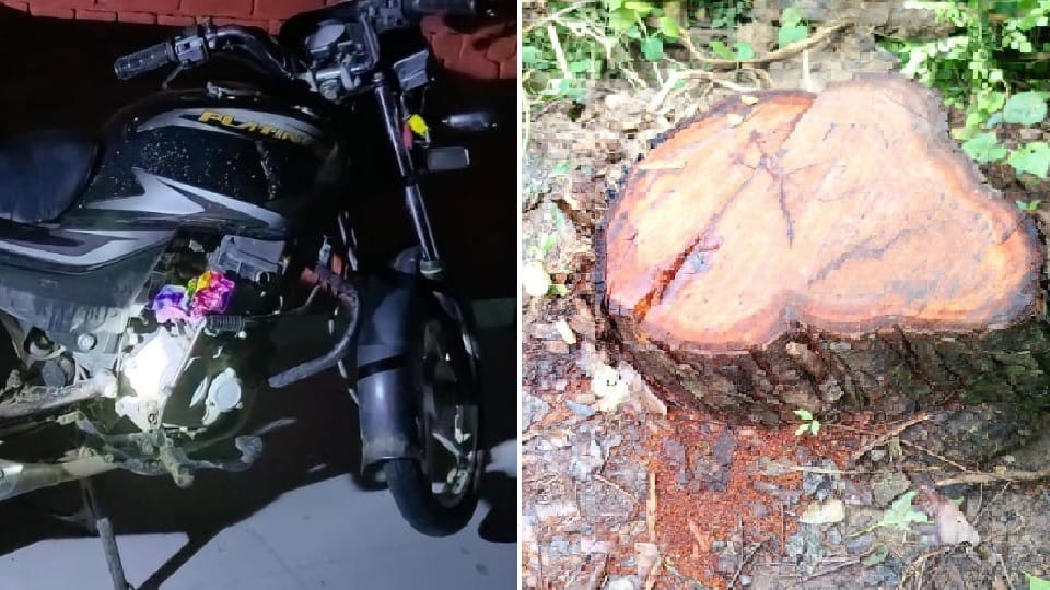 टीम को पिकअप से कुचलने का प्रयास
