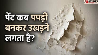 दीवारों का पेंट फूलना