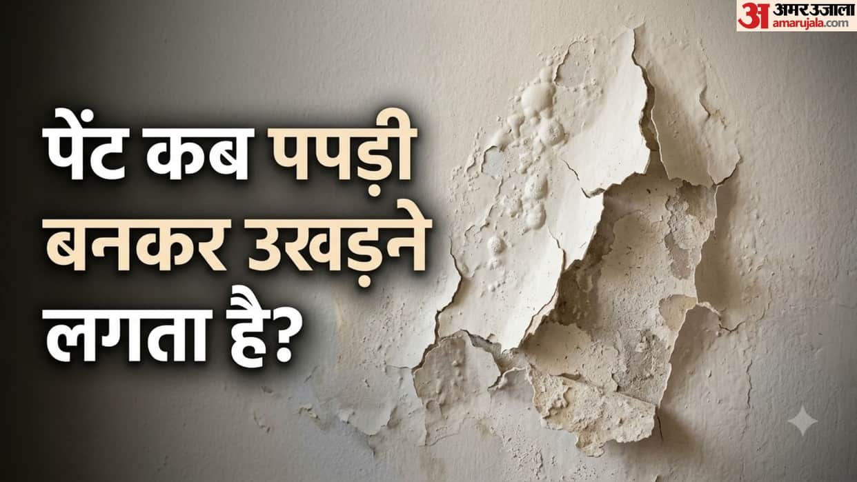 Why Wall Paint Peels and Blisters: Causes and Common Mistakes to Avoid