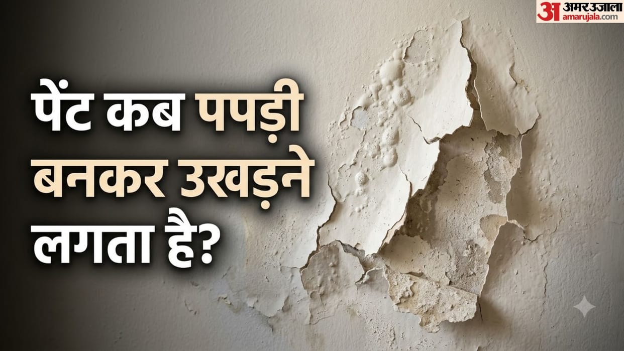 Why Wall Paint Peels and Blisters: Causes and Common Mistakes to Avoid