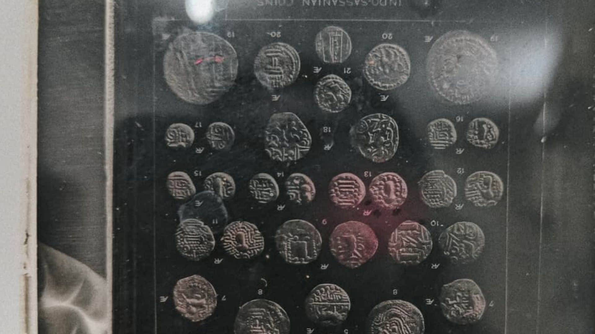 5,000-year-old artifacts found in five chests opened at BHU after 70 years in Varanasi