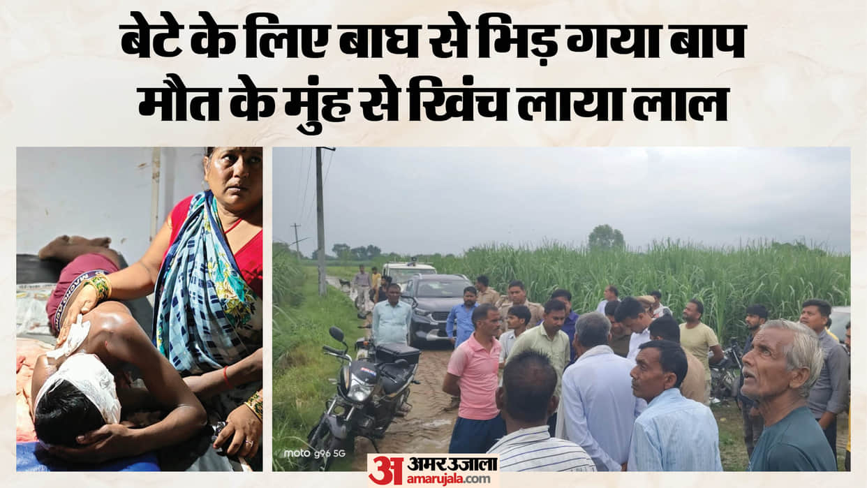 Father fight with tiger to save his son life with help of fellow farmers