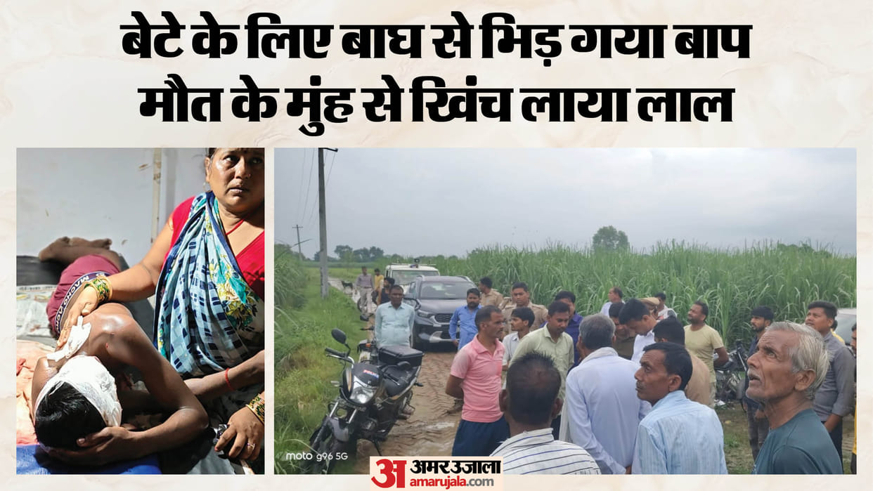 Father fight with tiger to save his son life with help of fellow farmers
