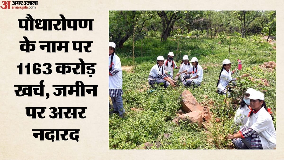 कैग रिपोर्ट: 1163 करोड़ के पौधारोपण में गड़बड़ी, 9 राज्यों के 153 स्थलों पर खुली पोल