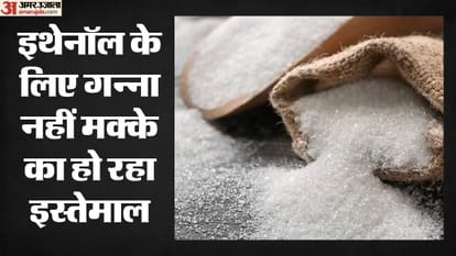 इथेनॉल बनाने के लिए गन्ना नहीं, मक्के का इस्तेमाल