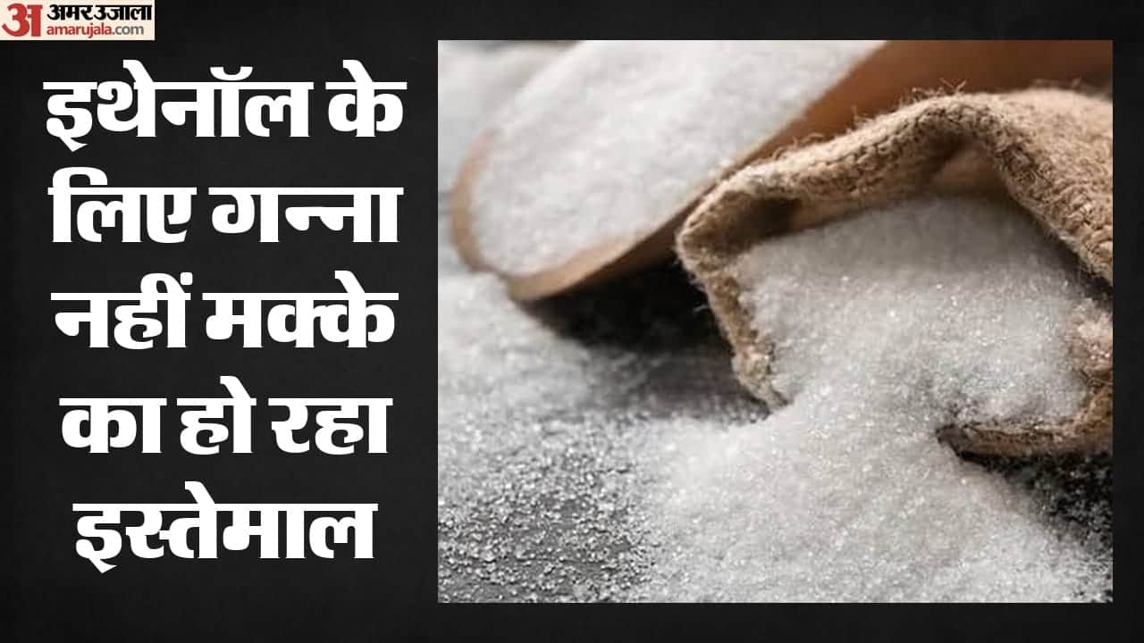 इथेनॉल बनाने के लिए गन्ना नहीं, मक्के का इस्तेमाल