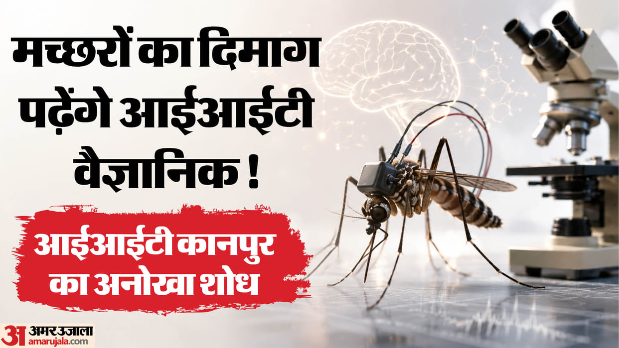 : IIT Kanpur Researchers Study Mosquito Brain and Sense of Smell