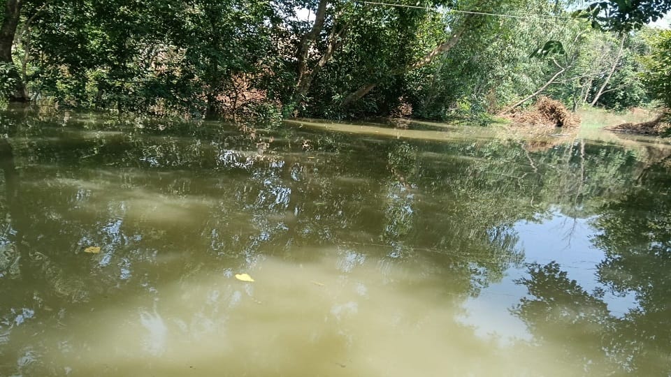 Floods in Kasganj power cuts due to waterlogging snakes and scorpions entering homes