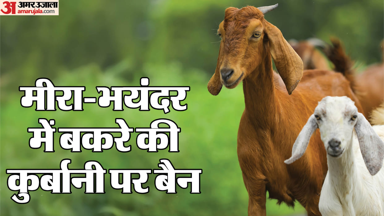 Goat sacrifice banned residential societies decision Mira-Bhayandar Municipal Corporation what is the penalty?