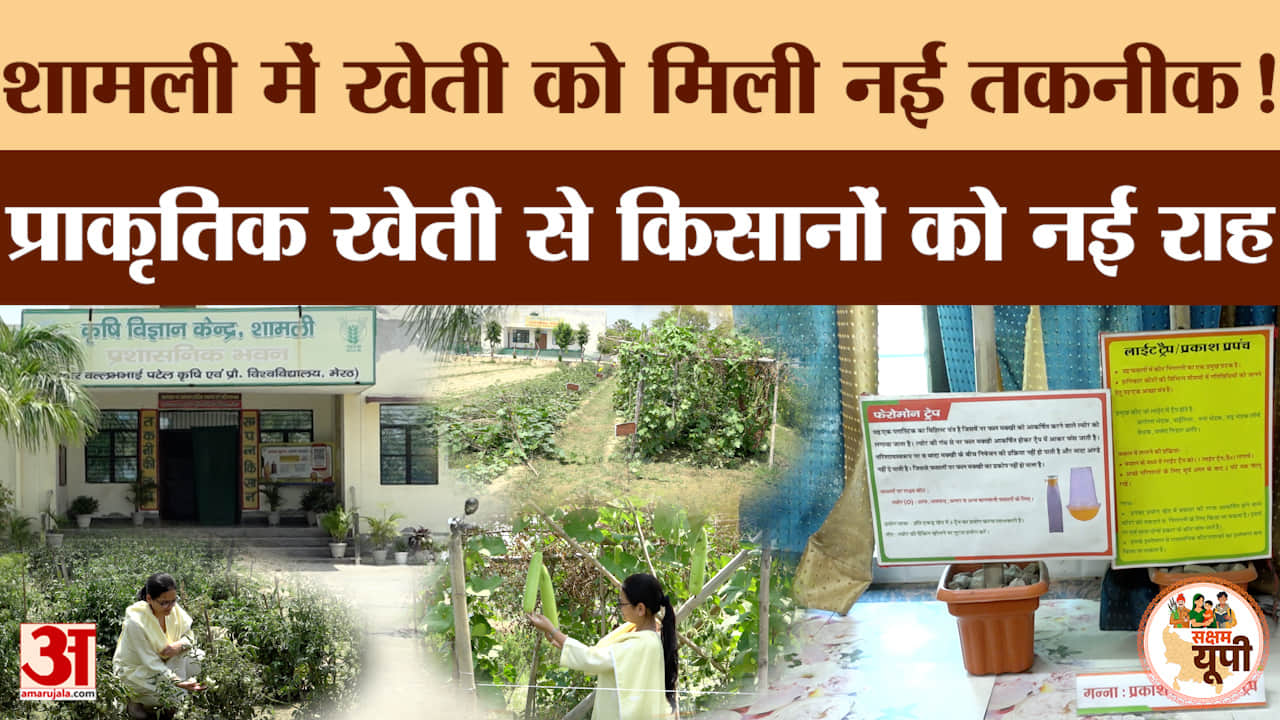 Shamli Ground Report: शामली के कृषि विज्ञान केंद्र से किसानों को नई राह, खेती को मिल रही नई तकनीक