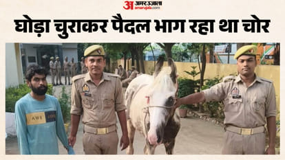 घोड़ा और चोर के साथ पुलिस