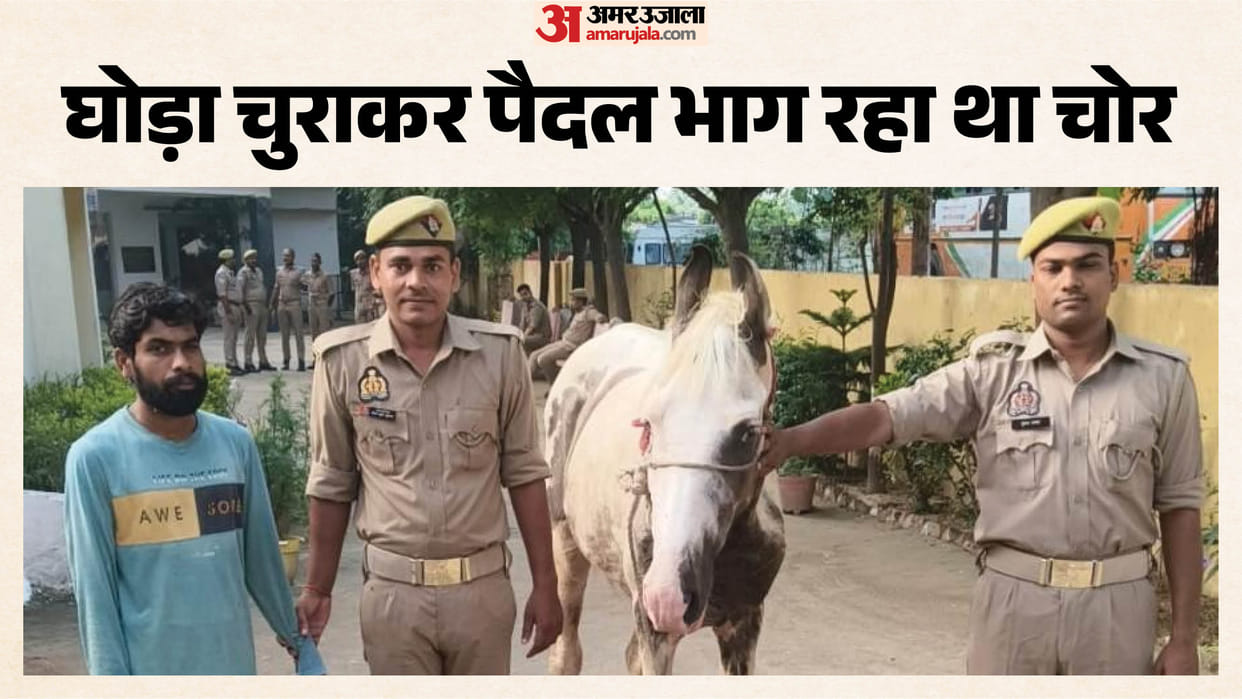 Thief steals horse in Gorakhpur and flees on foot; police nab him.
