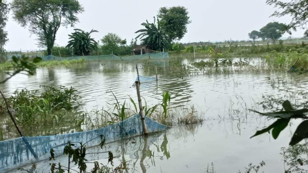 Floodwaters enter settlement 58 bighas of pointed gourd crop destroyed water level drops by seven centimeters