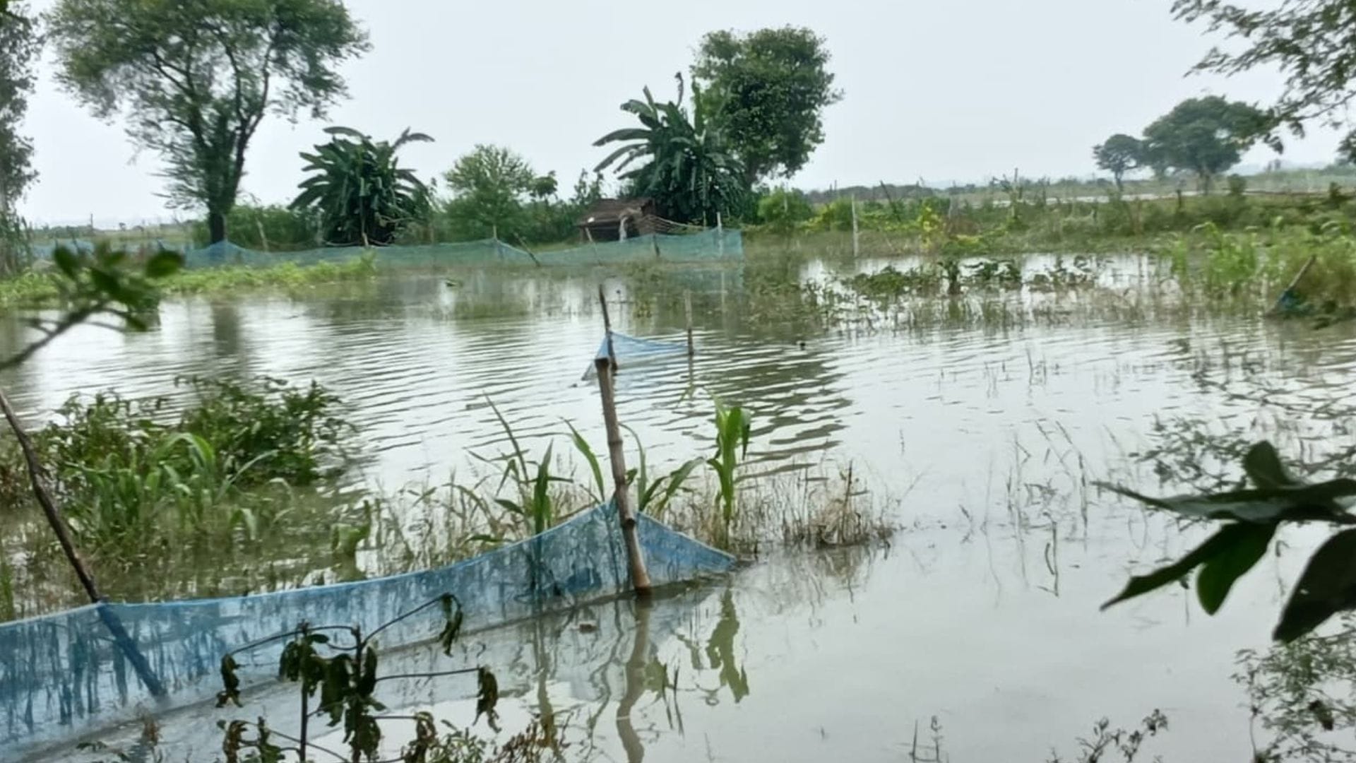 घाघरा का पानी बस्ती में घुसा।