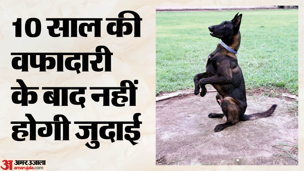 Sniffer dogs to remain with police even after retirement decision by Maharashtra Fadnavis government