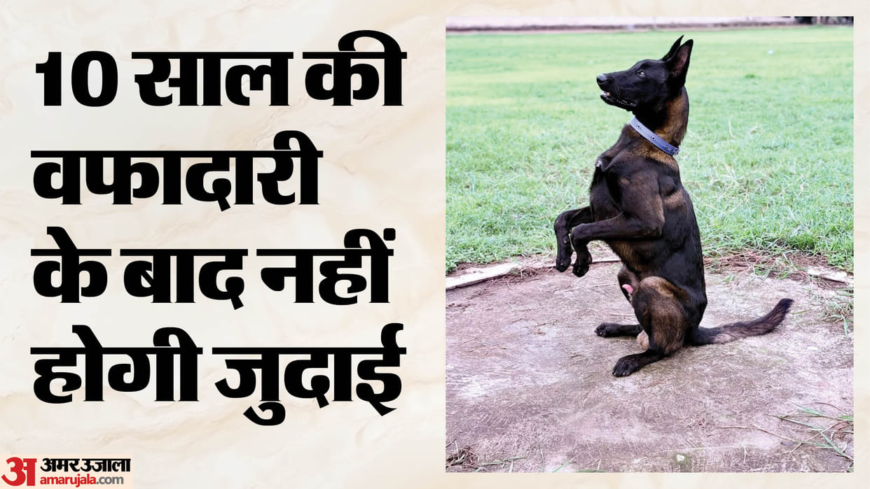Sniffer dogs to remain with police even after retirement decision by Maharashtra Fadnavis government