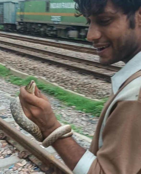 सांप के साथ स्टंट, युवक को सांप ने डसा