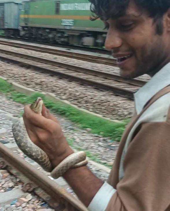 सांप के साथ स्टंट, युवक को सांप ने डसा