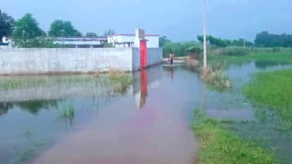 Floodwaters enter settlement 58 bighas of pointed gourd crop destroyed water level drops by seven centimeters