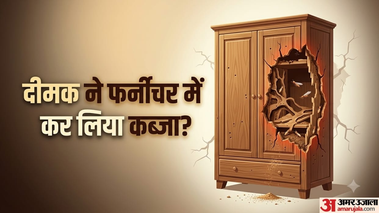 Early Signs of Termites in Wooden Furniture and What to Do Immediately