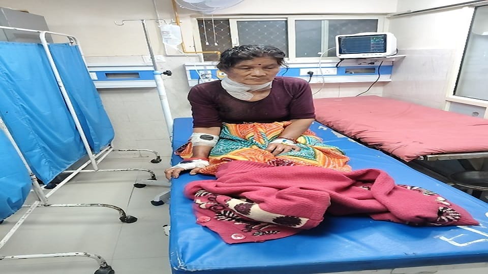 Leopard attacks woman working in field; she is critically injured