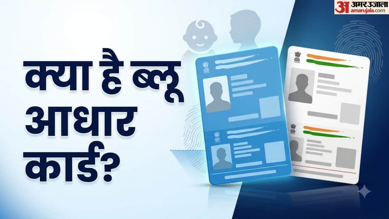 Blue vs White Aadhaar Card: Key Differences and Purpose Explained in hindi