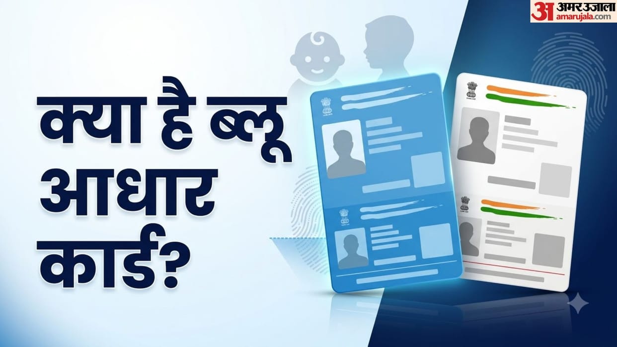Blue vs White Aadhaar Card: Key Differences and Purpose Explained in hindi