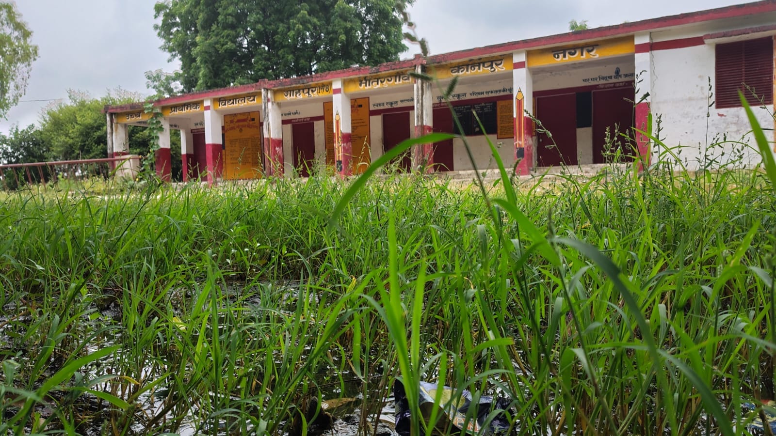 परिषदीय विद्यालयों में झाड़ियां और जलभराव