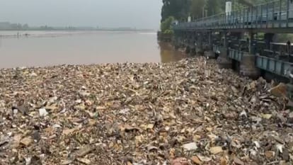 सतलुज नदी में फैली गंदगी