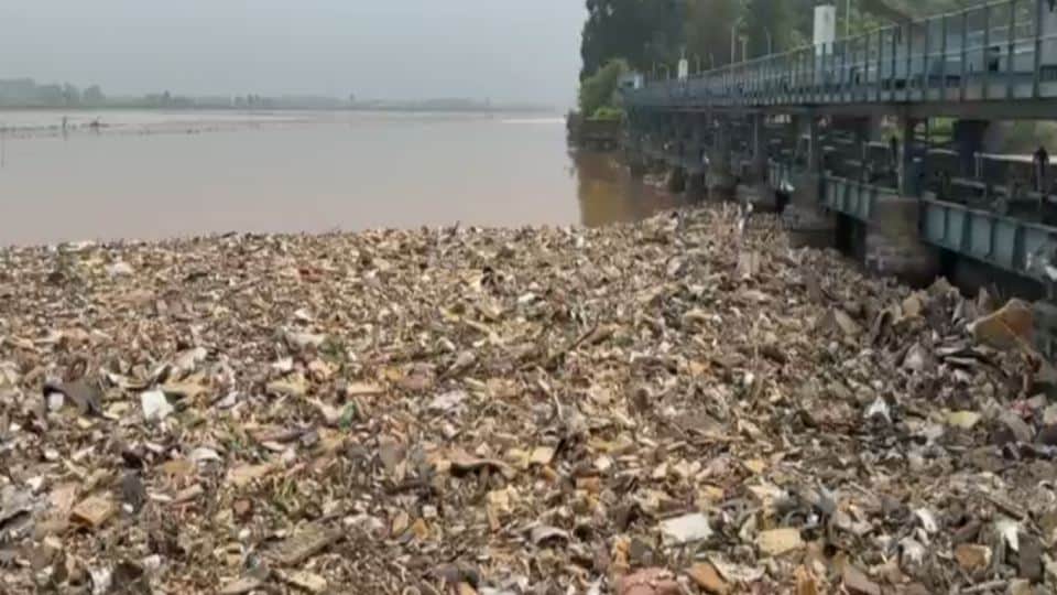 सतलुज नदी में फैली गंदगी