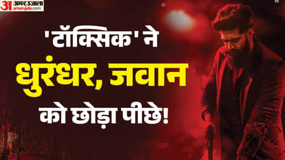 टॉक्सिक