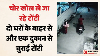 टोंटी चोर सक्रिय