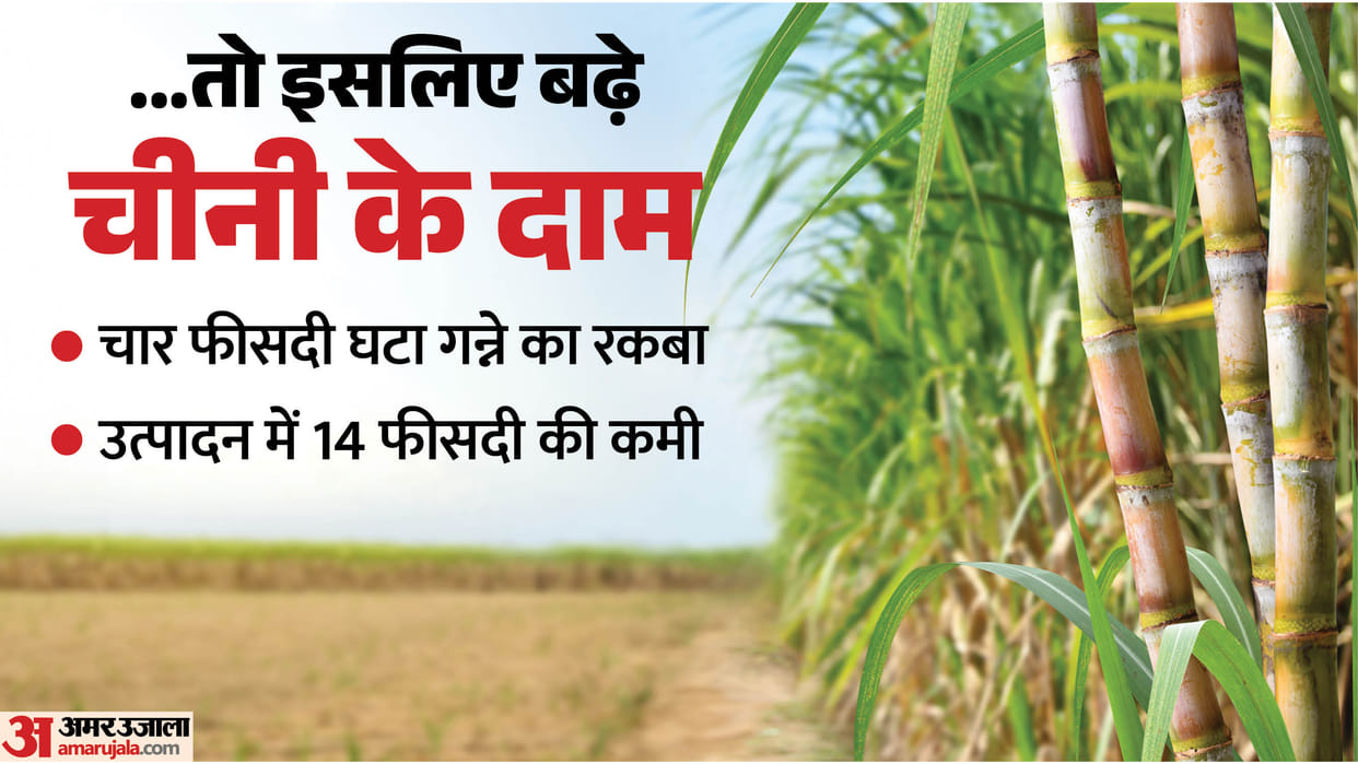 reduction in sugarcane cultivation area and decline in production in UP also reasons for rise in sugar prices