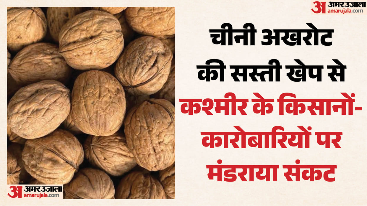 Traders are concerned about cheap Chinese walnuts reaching India via Nepal.