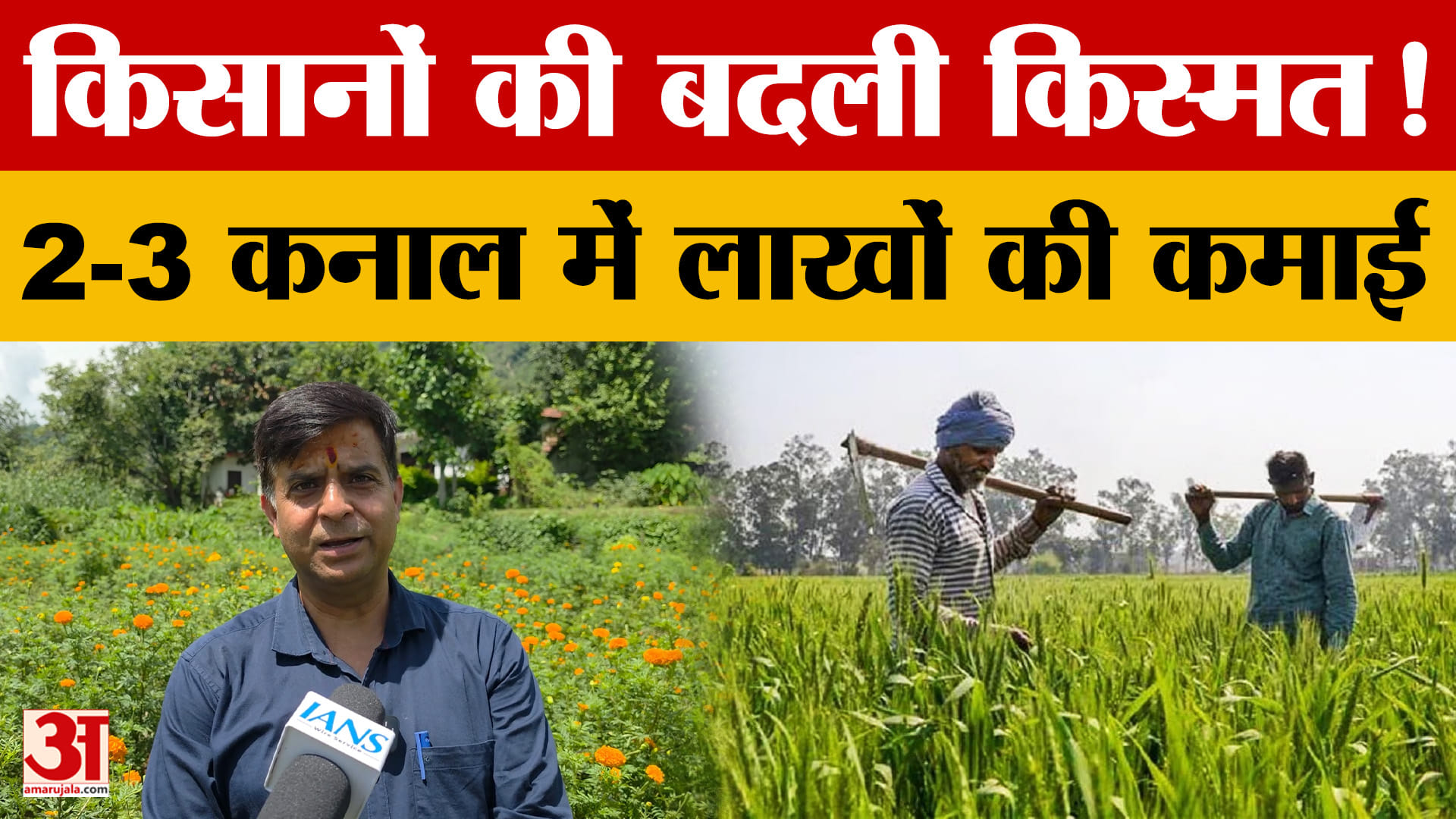 फूलों की खेती के साथ पोल्ट्री-डेयरी से बढ़ी आमदनी, किसानों ने पेश की मिसाल