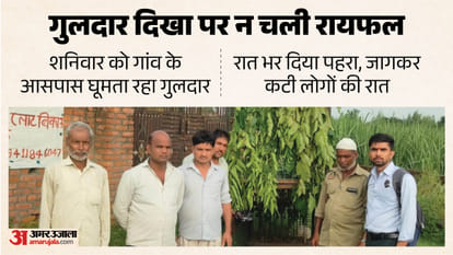 leopard in bijnor