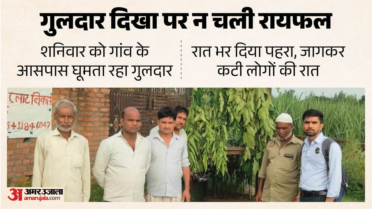 leopard was right over his head Deputy Ranger kept pulling trigger but rifle wouldn't fire IN BIJNOR