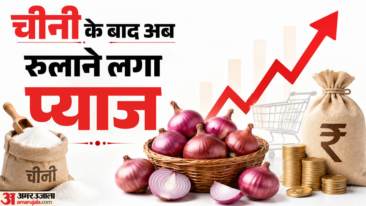 Onion Prices Rise After Sugar, How Much More Will Your Kitchen Budget Increase Before the Festive Season?