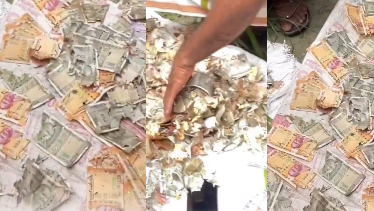 Up gonda woman saved 12 lakh rupees by hiding from husband rats chewed up the currency notes viral video