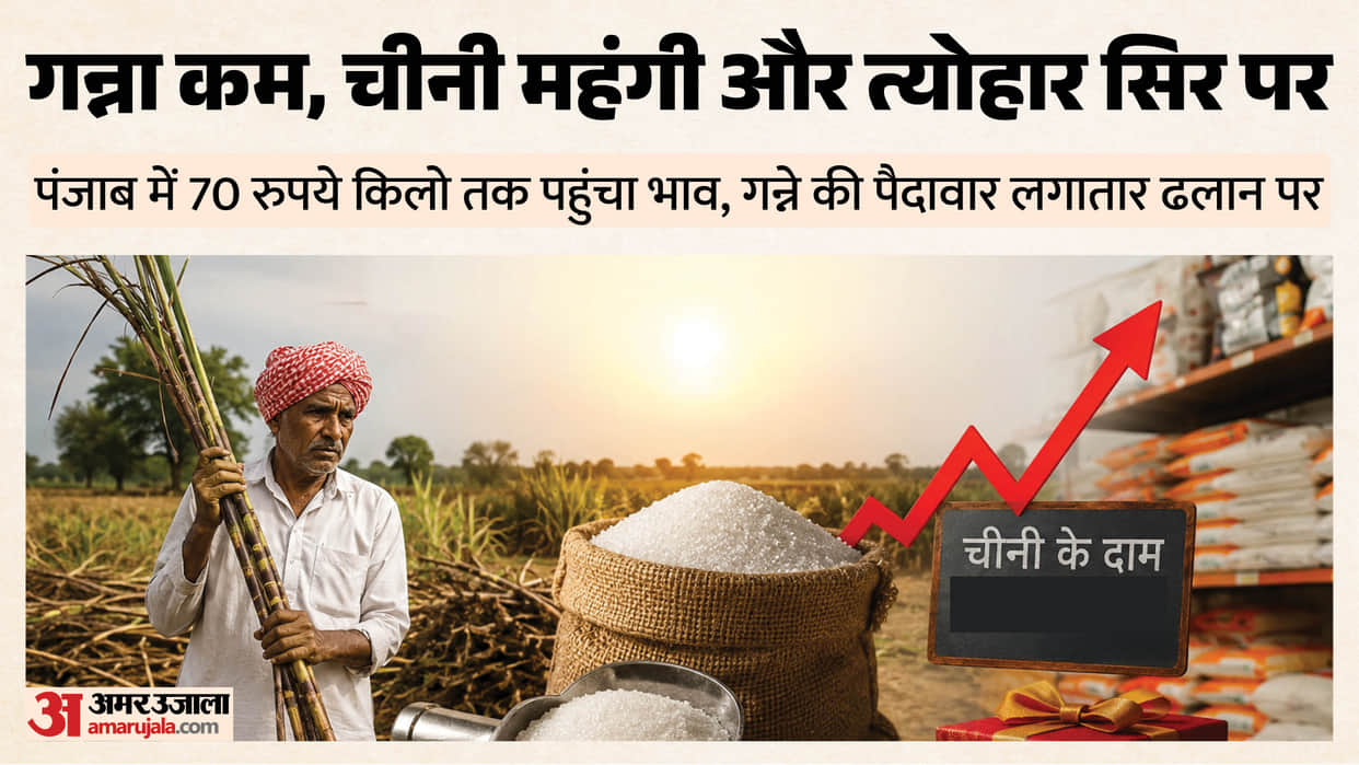 Sweetness of Punjab sugarcane declines sugar turns bitter Production drops by 7.74% in six years