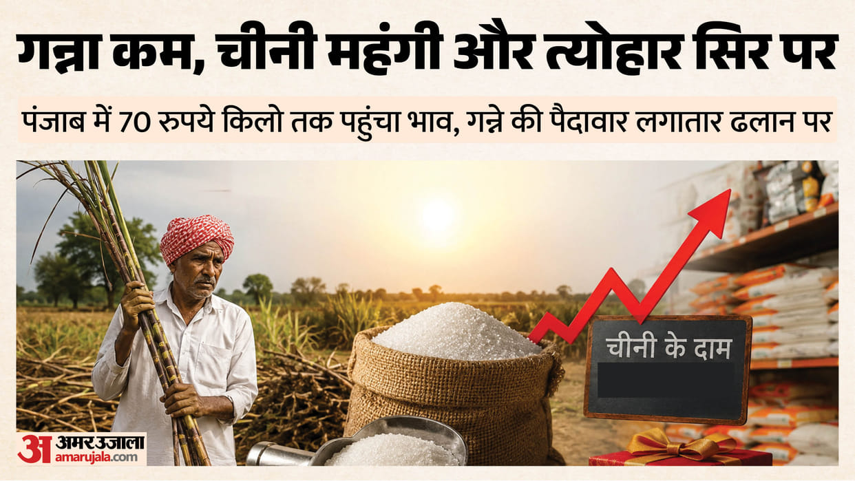 Sweetness of Punjab sugarcane declines sugar turns bitter Production drops by 7.74% in six years